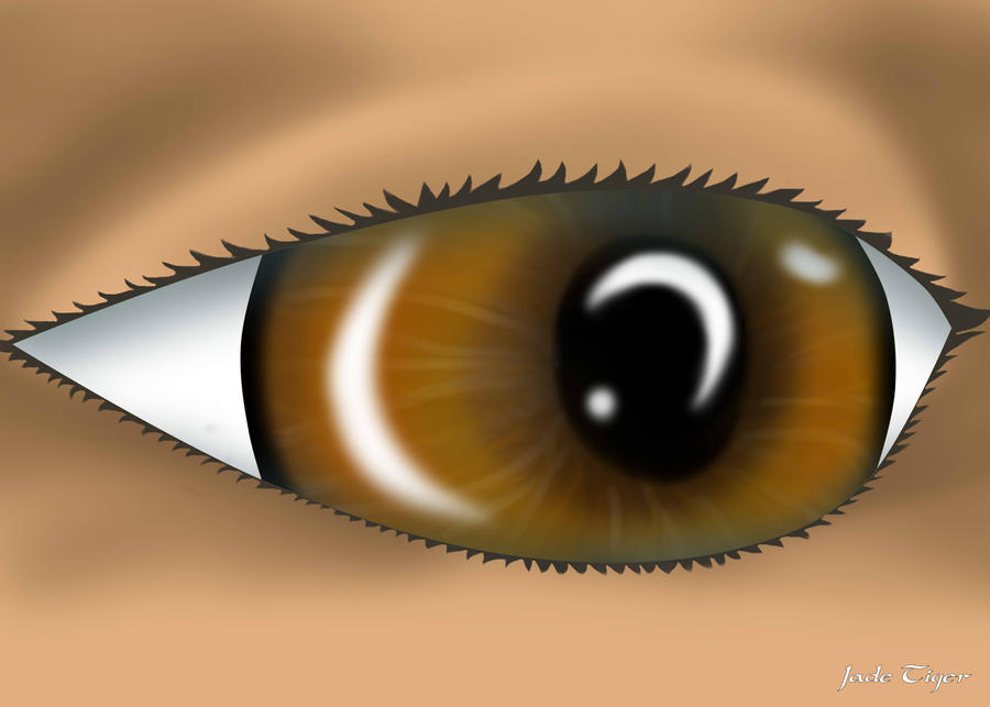Eye brown