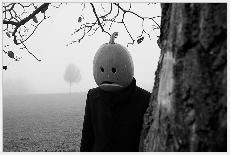 portrait of mr pumpkinhead no3 by Zendar