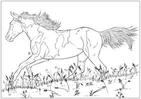 Horse line art