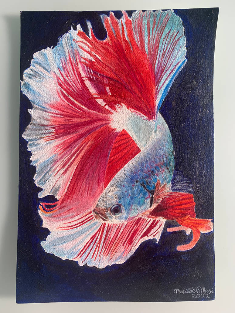 The warrior fish by Matima04 on DeviantArt