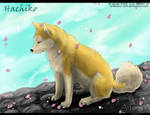 Hachiko by ArtemisA-wolf