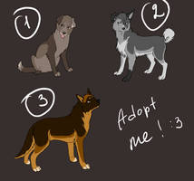Sohl Deviantart Anuriti Sohl ref-sheet by ArtemisA-wolf on DeviantArt