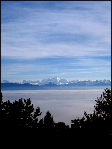 Le mont blanc