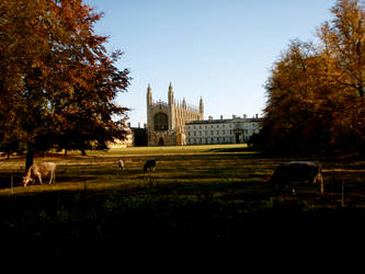 City Pastoral