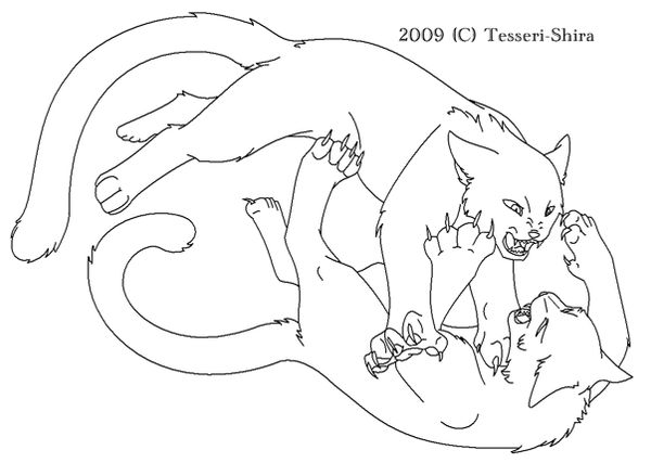 Free Cat fight Lineart