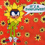 Its a sunflower! 
