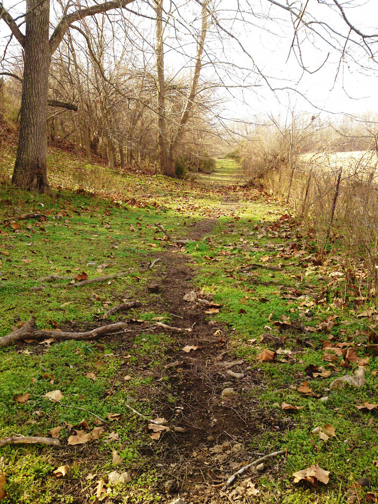 The Cow Path 2 by HikariAlchemist on DeviantArt
