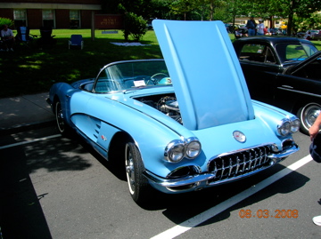 Vette