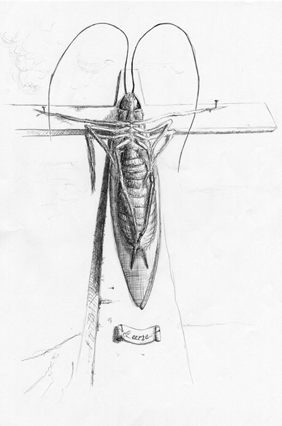 Cockroach by feearie on DeviantArt