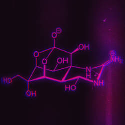 A Study in Chemistry--Tetrodotoxin--ASiP