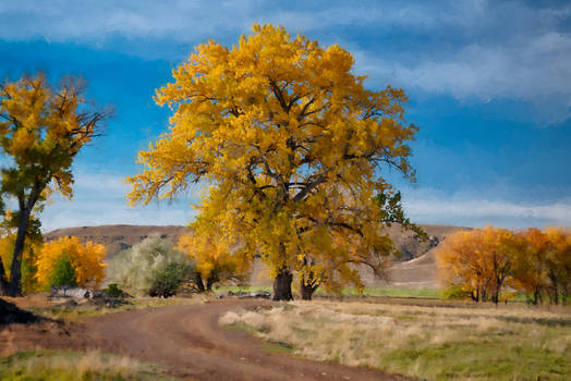 Belfry Fall Landscape 5