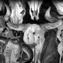 Skulls II