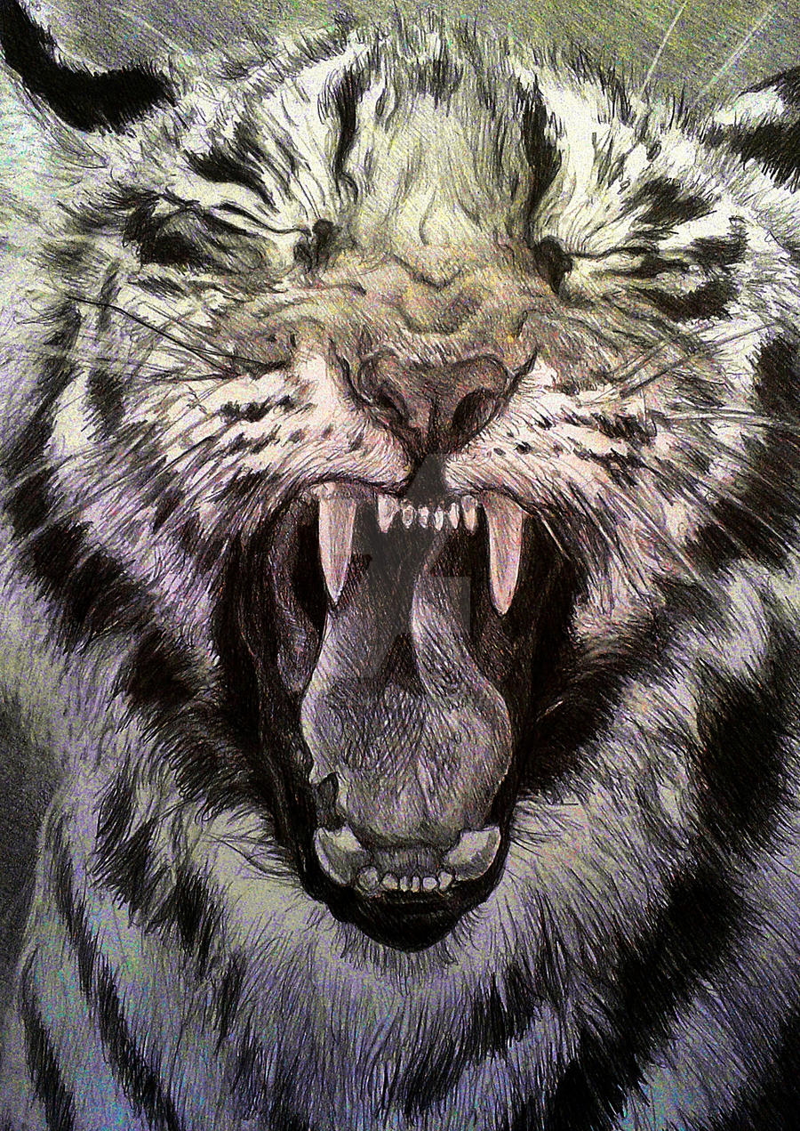 Yawn
