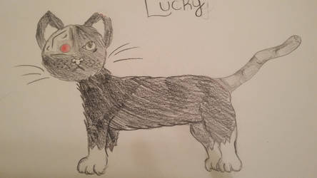 Lucky The Cat 