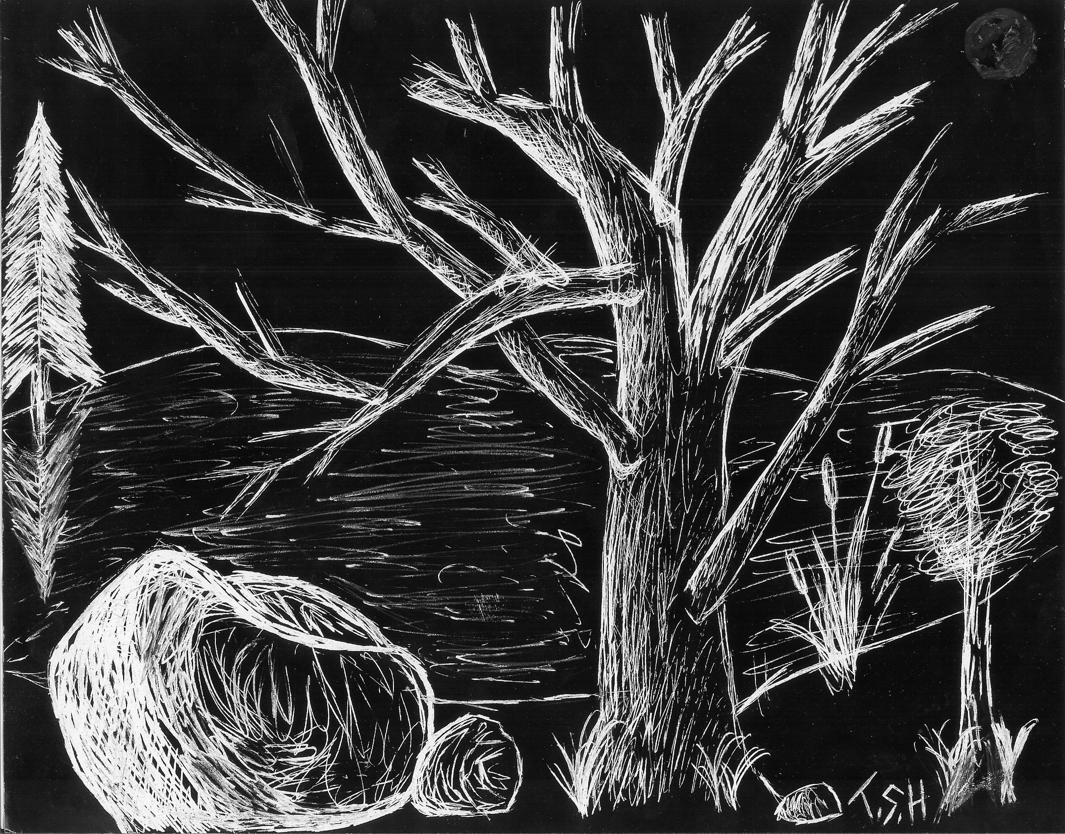 Scratchboard Landscape by ne0n0b0dy on DeviantArt