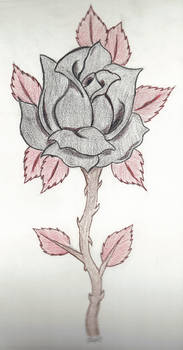 Black Rose