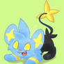 Shinx