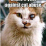 Share if your against cat abuse.