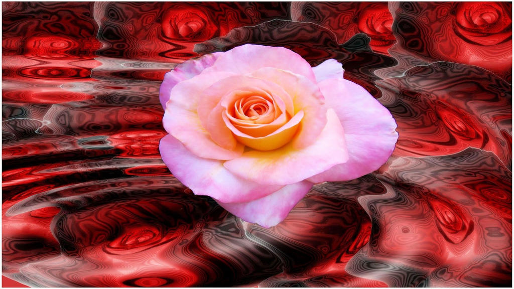 Floating Rose by LoloTheDabbler on DeviantArt