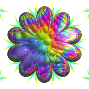 Wildflower