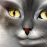 DreamUp Creation Cat