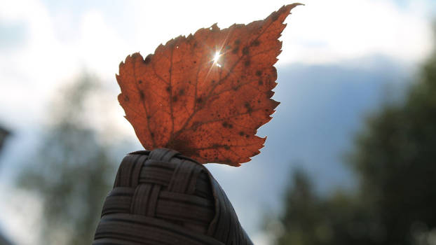 Leaf light