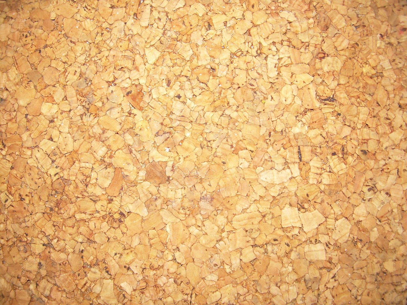 Cork Texture