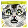 Traditional art, cat No. 5