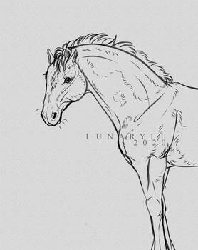 Horse Sketch I