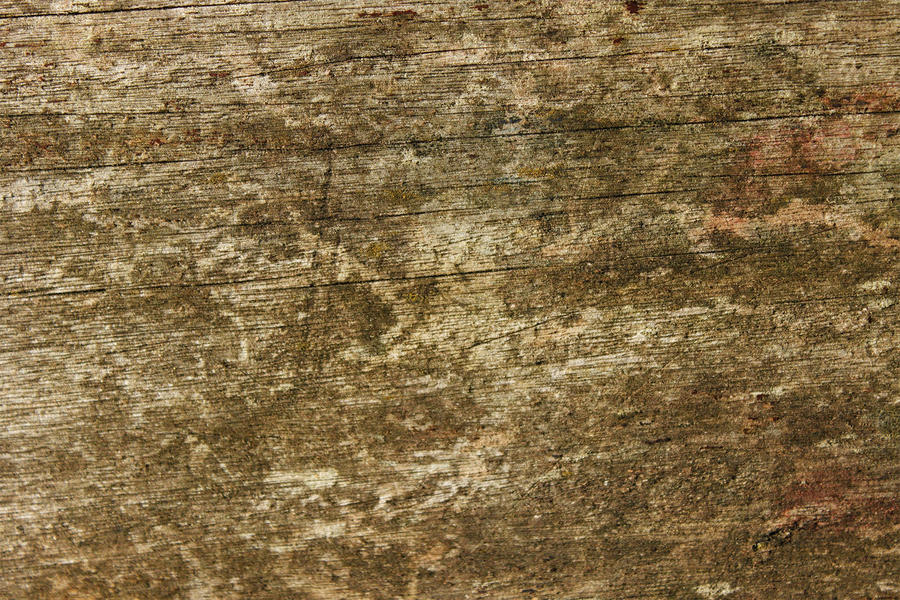 structured wood texture