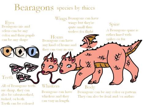 Bearagons Species