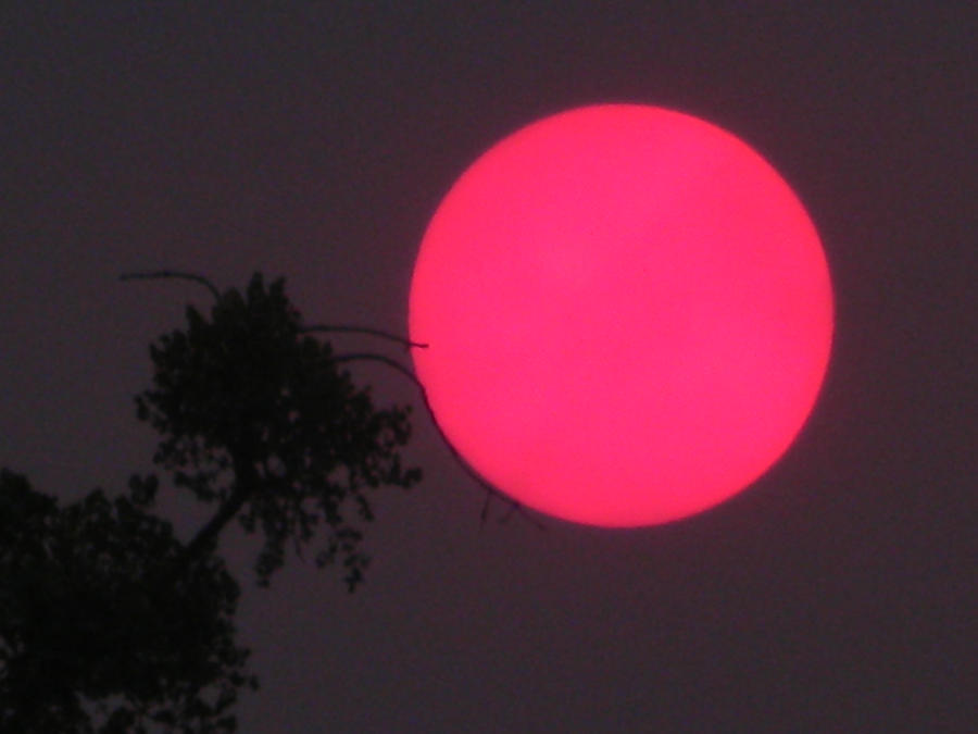 Pink Sun by SLJonesphoto on DeviantArt