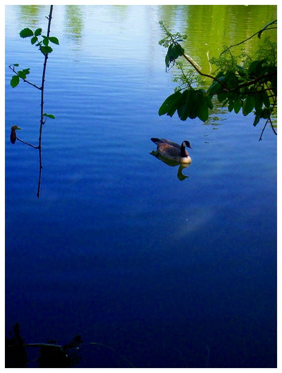 On the Lake