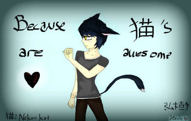 Because Neko's are awesome