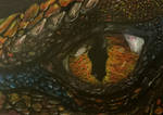 Smaug eye by andurielle