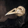 Leather mask - The Plague Raven