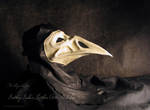 Leather mask - The Plague Raven