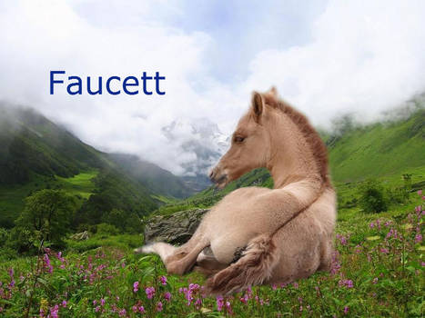 Faucett