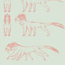 SPECIES CONCEPT + anim. FULL PERMS. (CLOSED)