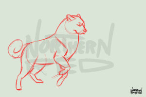 ANIMATION BASE happy doggo