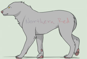 BASE wolf walk cycle