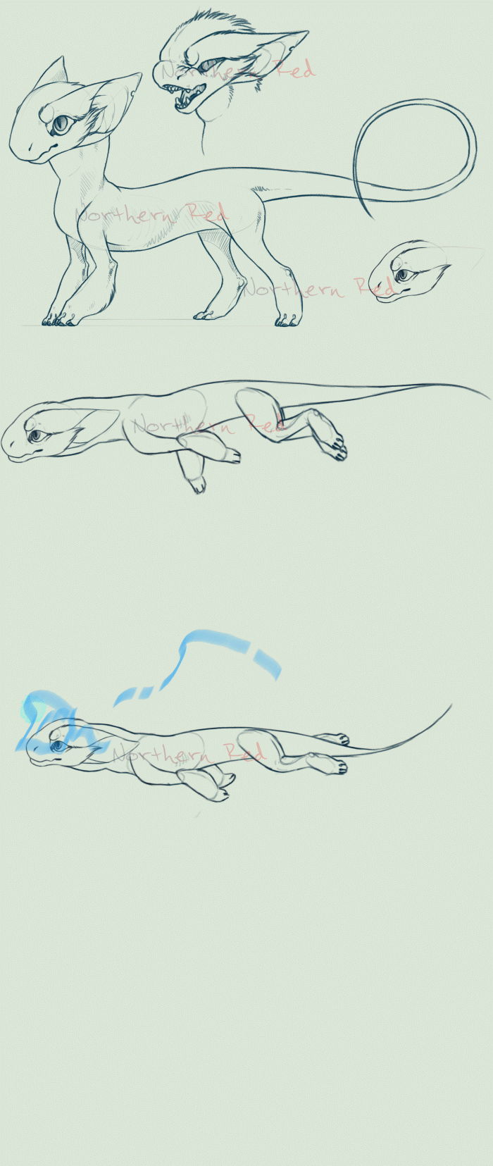 SPECIES CONCEPT + ANIMATION + FULL PERMS (CLOSED) by NorthernRed