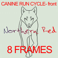 ANIMATED BASE - canine run cycle front