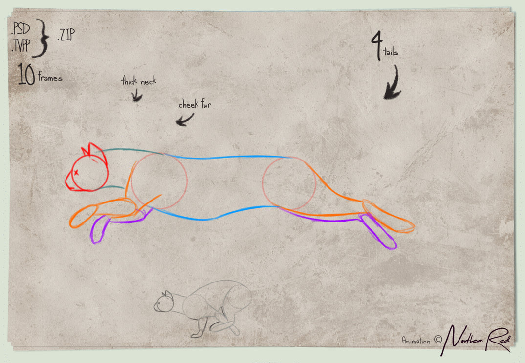 RUN CYCLE BASE - basic cat by NorthernRed on DeviantArt