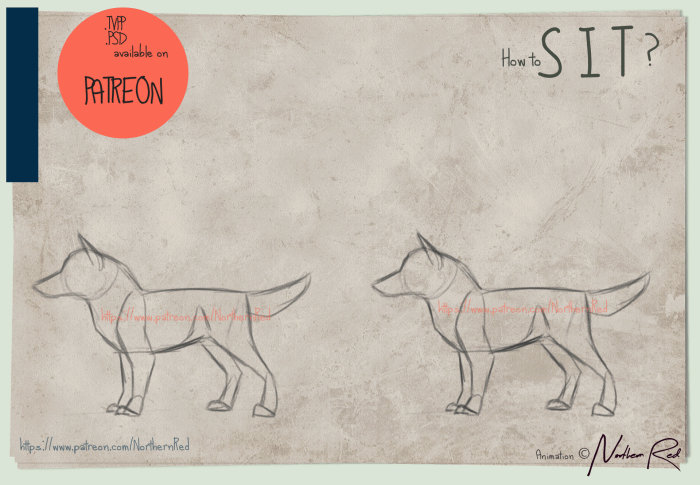 DOGGO SIT - guide by NorthernRed on DeviantArt