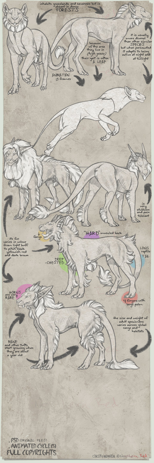SPECIES CONCEPT + ANIMATION + FULL PERMS (CLOSED) by NorthernRed on ...