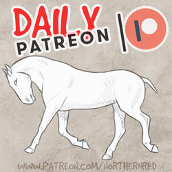 DAILY PATREON