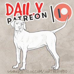 DAILY PATREON