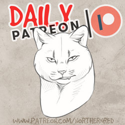 DAILY PATREON