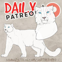 DAILY - snow leopard